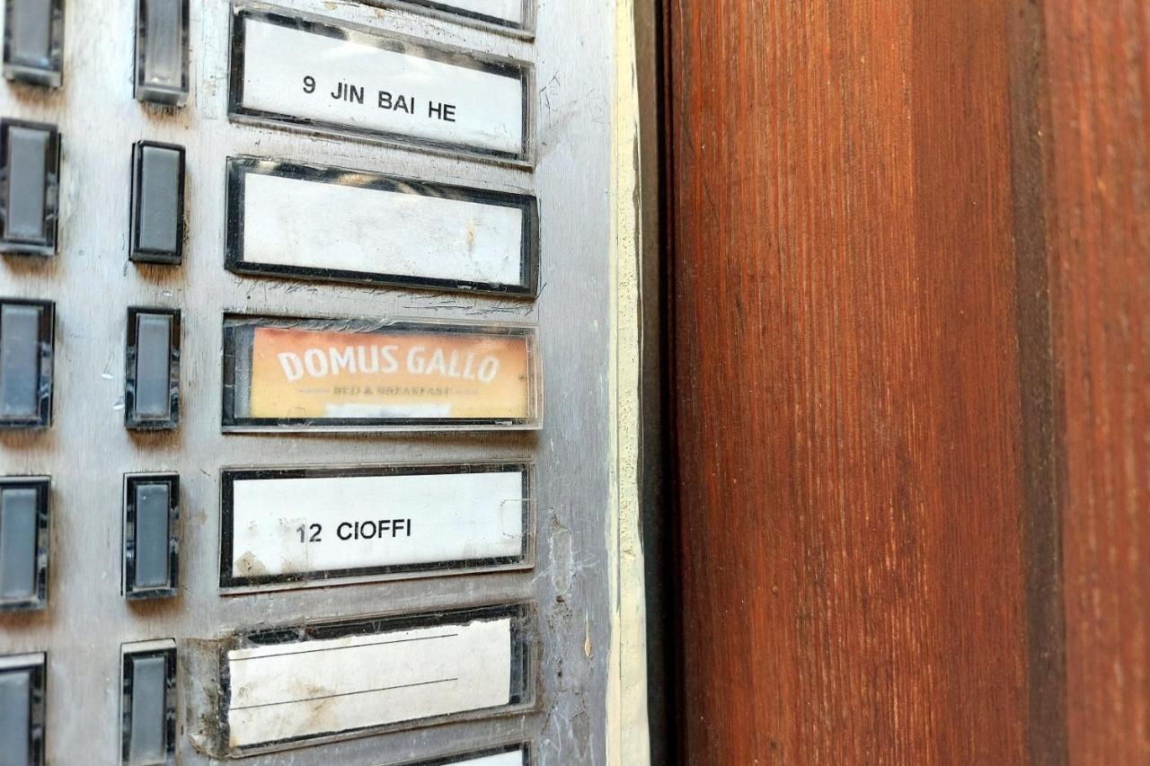 روما Domus Gallo المظهر الخارجي الصورة