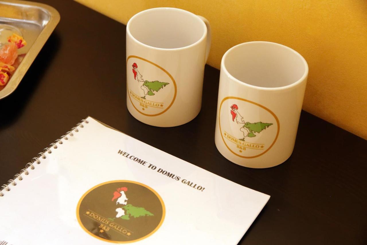 روما Domus Gallo المظهر الخارجي الصورة